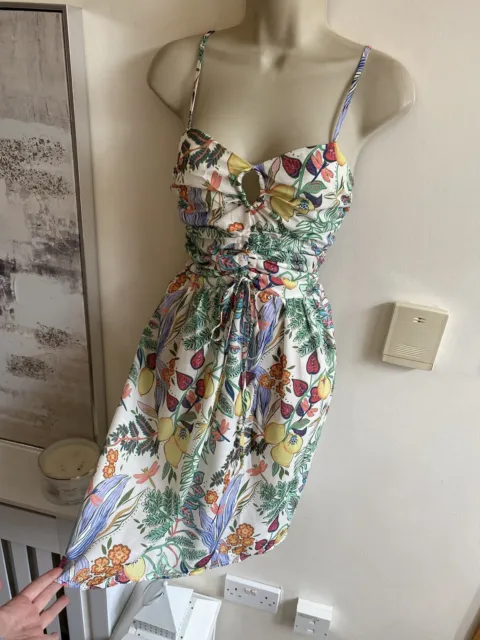 New Beautiful Size 12 Lemons & Dragonfly Sun Dress Vtg Tea