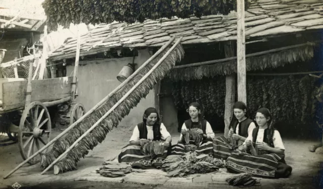 Bulgaria - Women Stringing Tobacco - Perushtitsa, Bulgaria - RPPC - early 1900s