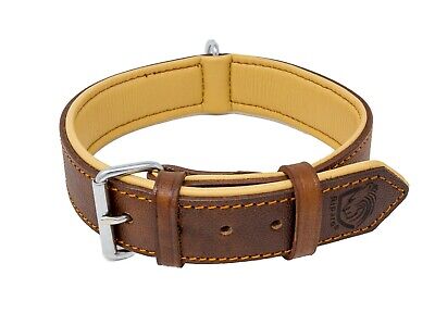Riparo Genuine Leather Padded Dog Heavy Duty K-9 Adjustable Collar