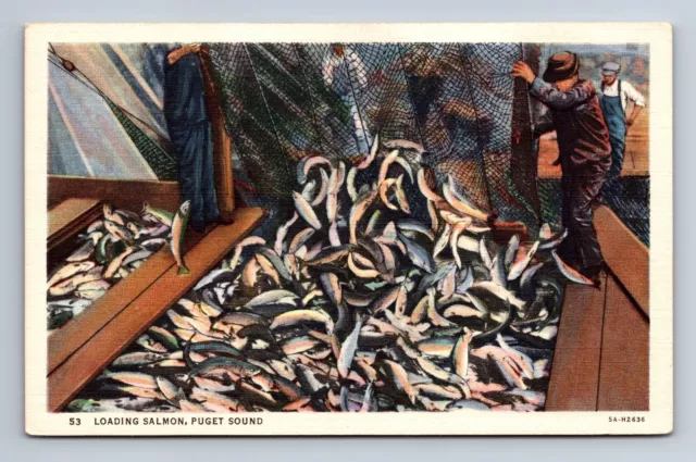 Loading Salmon Puget Sound Washington Postcard