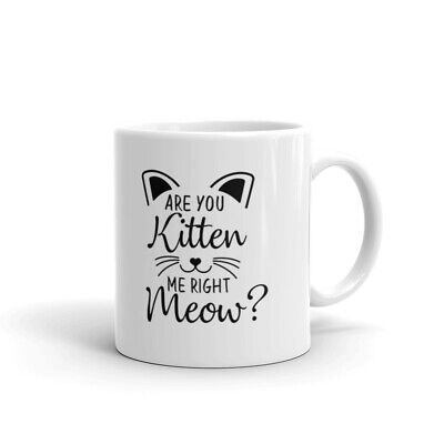 Are You Kitten Me Right Meow Unique Cat Lovers Cup Gift Coffee Tea Ceramic Mug