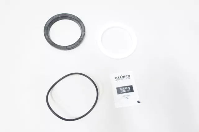 Pentair SK-75-EPDM-25 Valve Repair Kit