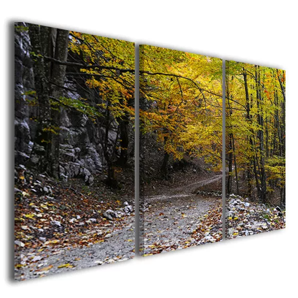 Quadri moderni Mountain trail paesaggi natura stampe su tela canvas 130 x 90