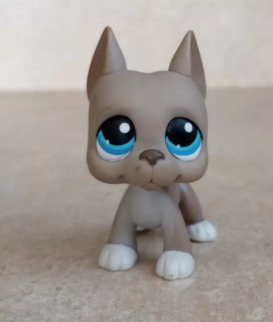 Littlest Pet Shop #184 Authentic Great Dane Dog Puppy Gray Grey Great Dane LPS