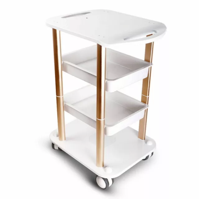 Salon SPA Trolley Stand For Cavitation Beauty Machine Assembled Rolling Cart NEW