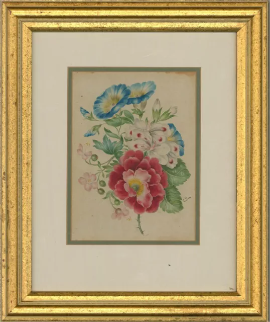 G. O. - Mid 20th Century Watercolour, Dog Roses And Columbine