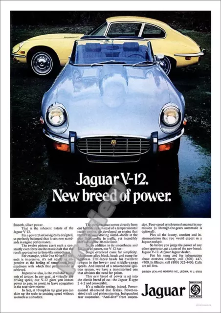 E-Type Jaguar V 12 1961 Retro Vintage Car Print Poster Wall Art Picture A4 +
