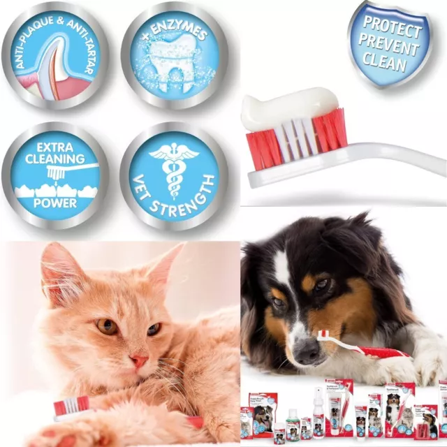 Beaphar, Advanced Dual-Enzyme Toothpaste, Dental Care for Dogs & Cats, 100g Tube 2