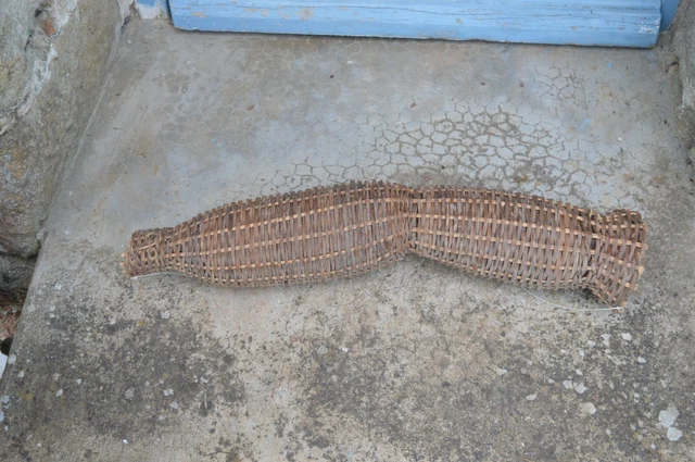 Ancien piège à poisson méné en verre gaufré CF Orvis Manchester