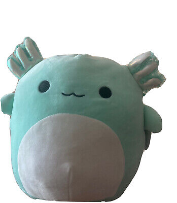 anastasia axolotl squishmallow anastasia axolotl squishmallow