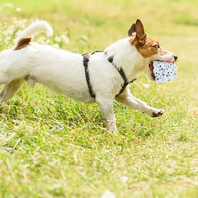 Dog Interactive Ball Toy Dog Molar Ball Dog Squeaky Toy Dog Chew Ball Pet