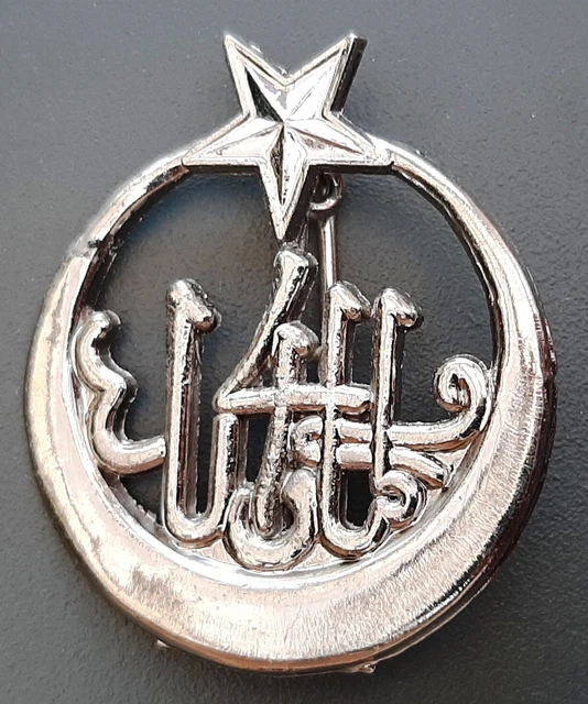 Insigne Indochine BINH THUAN 4° RTT Tirailleurs Tunisiens à L'Éléphant - Relique Militaire Française 1947-1950
