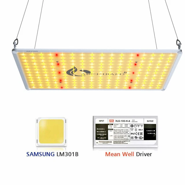Archibald led sales grow light