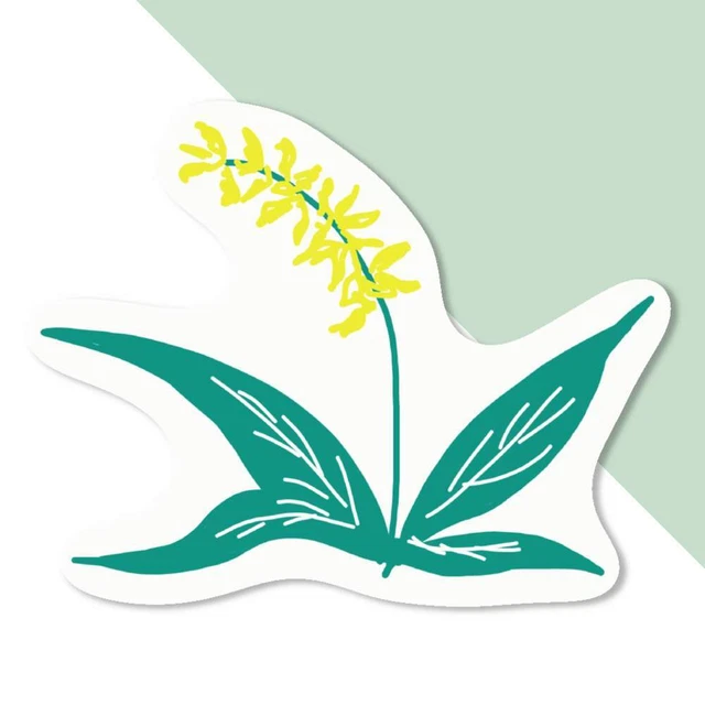 'Woodland Flora' Aufkleber Aufkleber (DW039015)