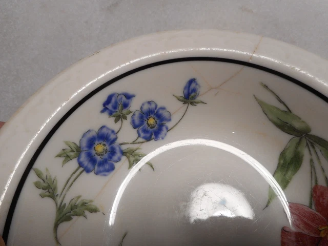 Syracuse Southern Pacific Railroad Prairie Mountain Wildflowers Bowl 6" Cracked 2