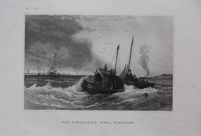 Thames Estuary Foce Tamigi Inghilterra Incisione Acciaio Engraving Rotocalco