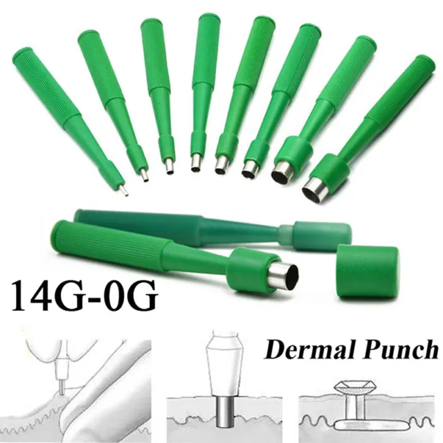 Biopsy Dermal Puncher For Skin Tool Sterilized Dermal Anchor Punch Tool Piercing