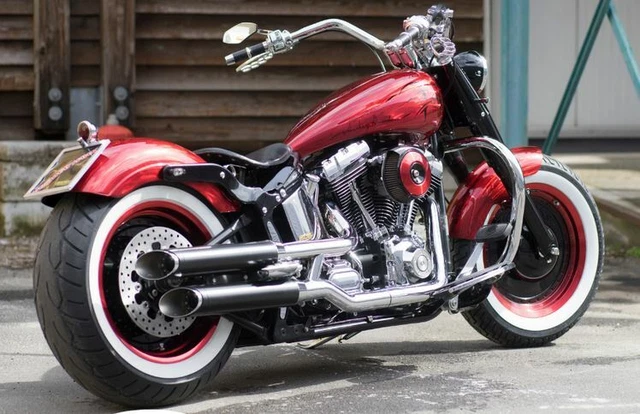 2 ADESIVI DECAL Sticker Grafiche Per Serbatoi Harley Davidson Softail