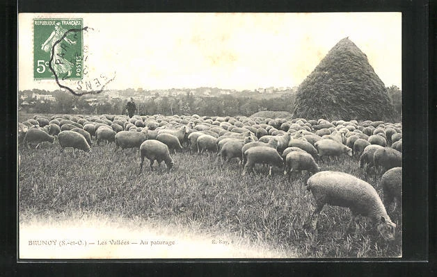 CPA Brunoy S. et O., Les Vallees, Au Paturage