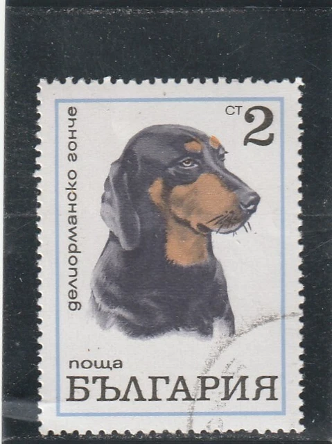 L5904 BULGARIE TIMBRE Y&T N° 1800 de 1970 " Chien Pointer " Oblitéré
