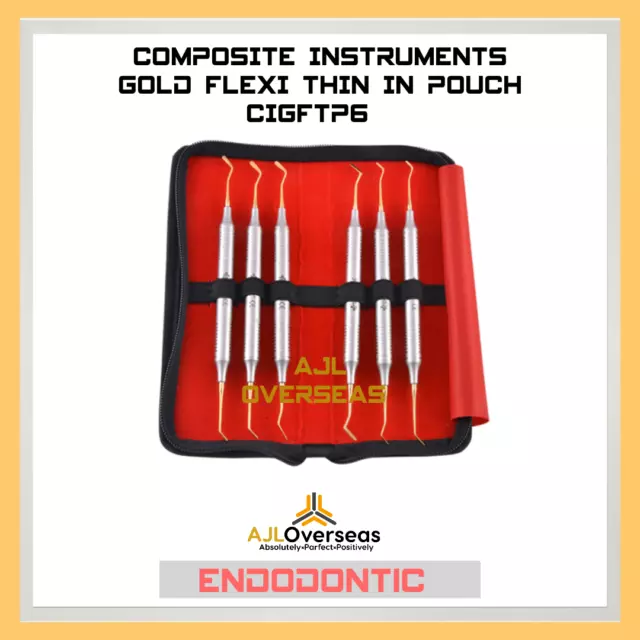 Instrument Dentaire Composite Or Souple En Pochette Cigftp6 Set Of - 6 Free Ship