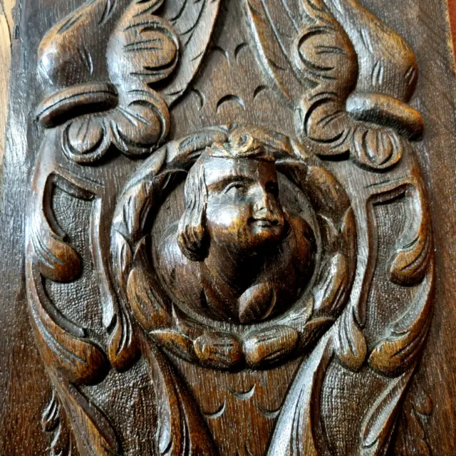 Scroll mascaron griffin wood carving panel Antique French architectural salvage