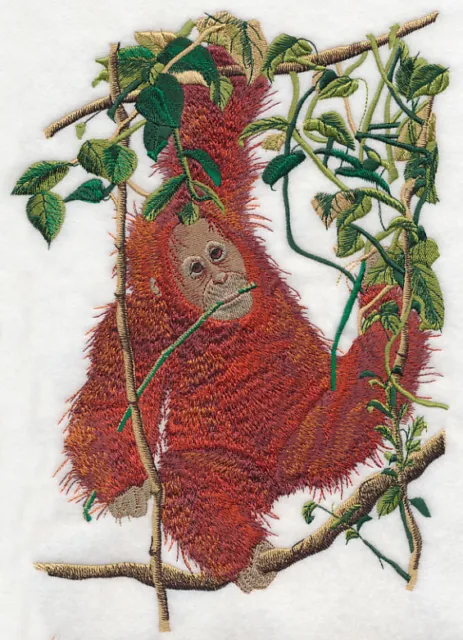 Embroidered Long-Sleeved T-Shirt - Young Orangutan O1003 Sizes S - XXL