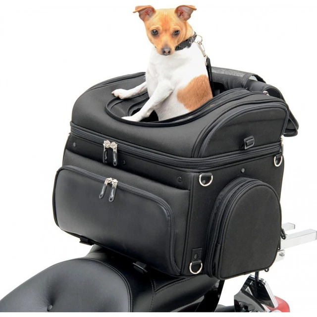 TRANSPORT D'ANIMAUX SAC Pour Moto, Quad Ou Atv Chien Ou Chat