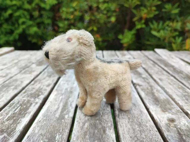 STEIFF TERRIER FOXY11 CM OHNE KNOPF IM OHR  1950er JAHRE