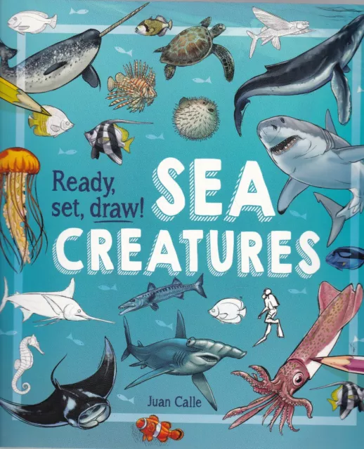 Ready Set Draw How to Draw Sea Creatures Book 9781784289829 NEW