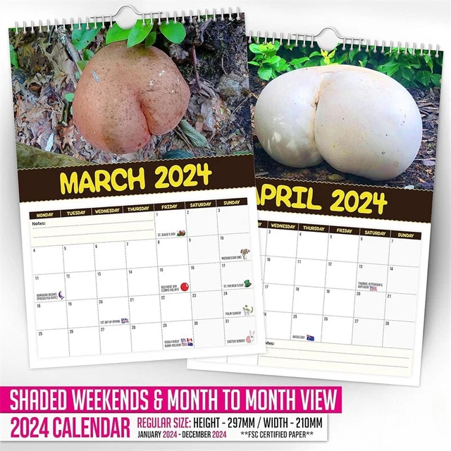 CALENDARS WORLD'S GREATEST Mushrooms 2024 Wall Calendar Schedule Paper