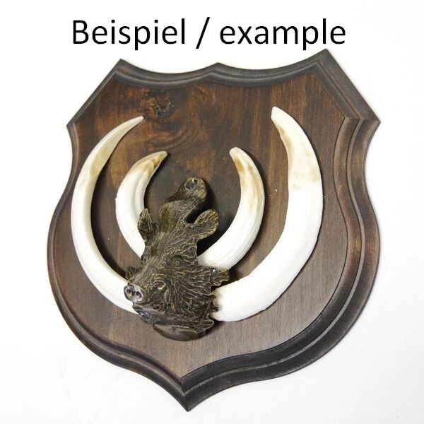 3 Pieza Jabalí Cabeza Decoración para Fuerte Armas de Trofeos Grande 3