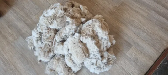 Rockleigh Alpacas - Alpaca Fleece - White - Angel - 700g