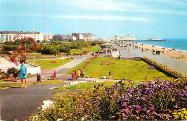 Picture Postcard> Southsea, the Promenade