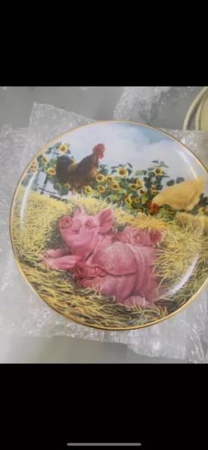 Danbury Mint Collector Plate "Snoozing Swine" by Joan Wright Pigs In Bloom