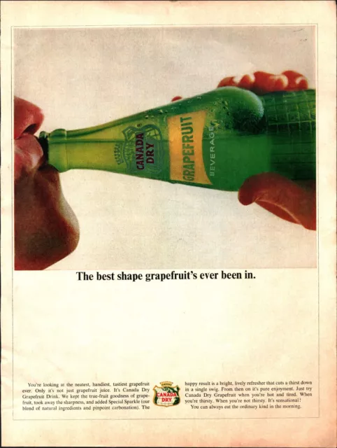 1964 Canada Dry Soda Pop Vintage Print Ad Grapefruit Beverage Drink Bottle Sip