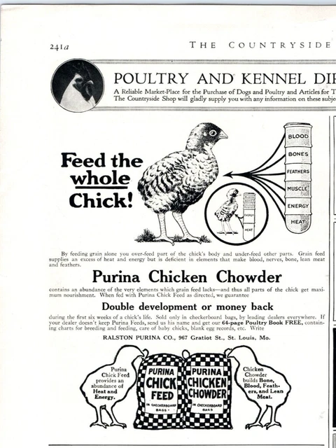 1917 Print Ad Purina Chicken Chowder In Checkerboard Bags Feed The Whole Chick!