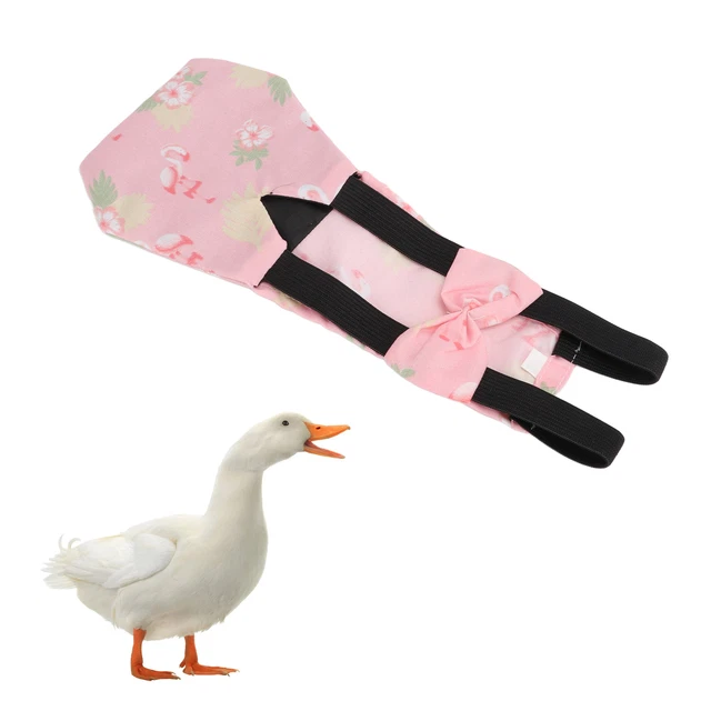 Pollo Per Animali Pollo Poultry Diaper Respirabile Poultry Poop Pocket Diape DB3