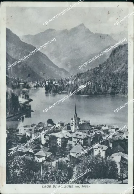 bz684 cartolina  lago di alleghe provincia di  belluno veneto