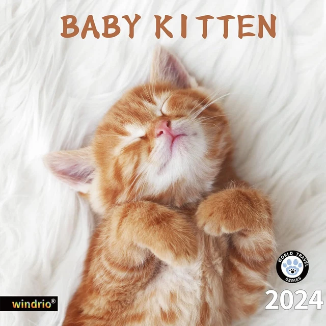 2024 WALL CALENDAR,CALENDAR 2024, November 2023 December Baby Kitten