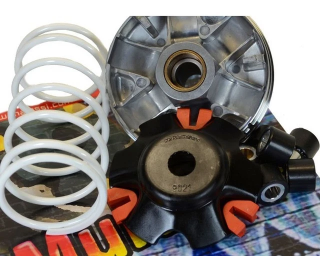 Variateur MALOSSI MULTIVAR pour PIAGGIO Leader 180cc 4T LC