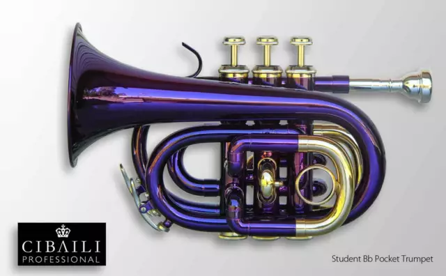 CIBAILI PURPLE Bb POCKET TRUMPET • BRAND NEW • With Case • FREE EXPRESS POST! 2