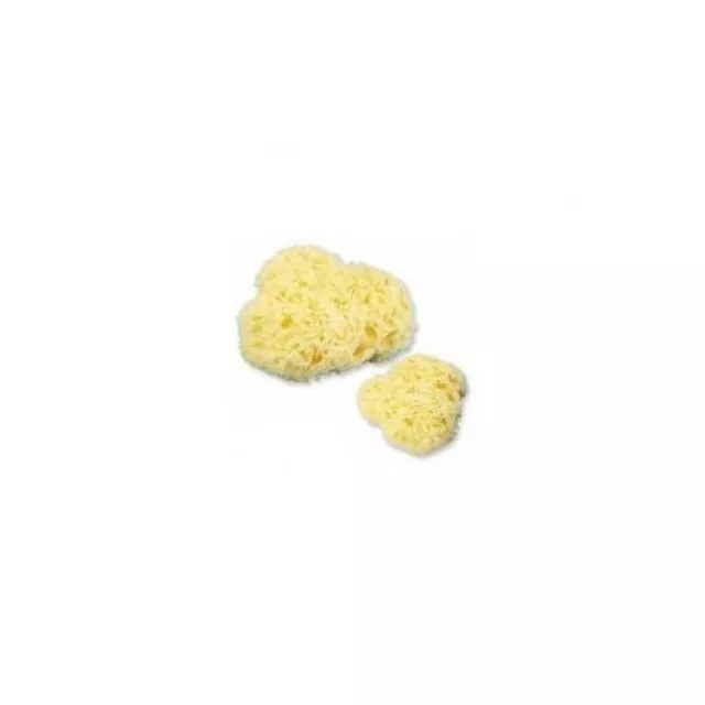 FARMAC-ZABBAN Natural sponge N. 4 extra Large size