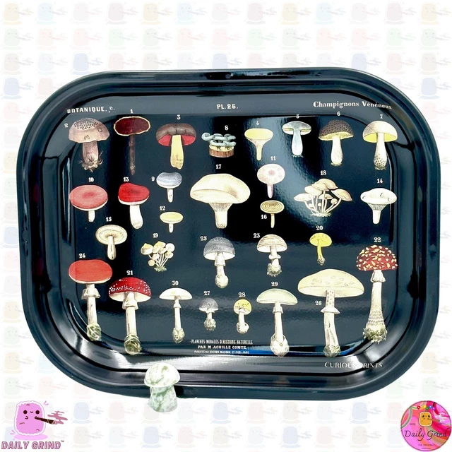 Vintage Mushroom Chart Art Style - Metal Herb Table Tidy Tray Cute Gift  14x18cm