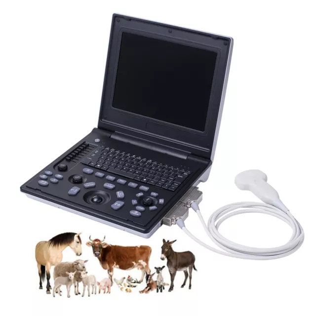 Veterinary B Ultrasound Scanner Machine Portable Laptop Scanner for Cat Dog Goat