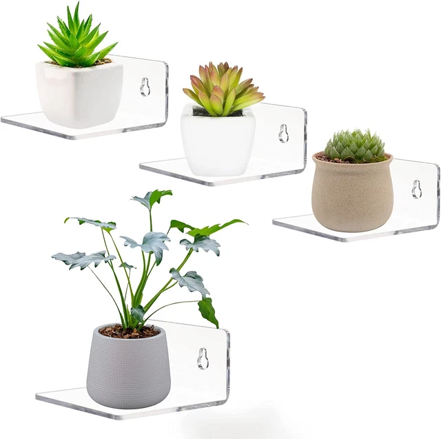 Acrylic Small Adhesive Wall Shelves Mini Floating Display Figures Plant Picture