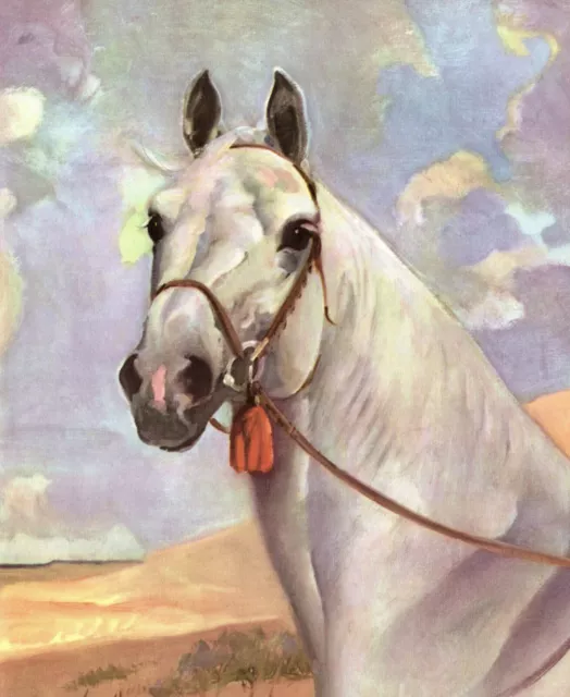 Vintage Arabian Horse Print Wesley Dennis Horse Art Illustration 4199a