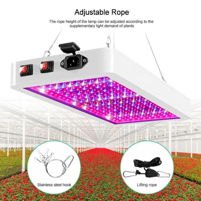 3000W LED Grow Light Hydroponisches Vollspektrum Zimmerpflanze Blume Bloom Grow