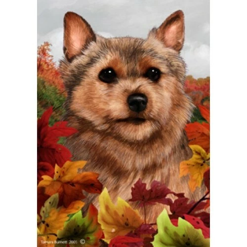 Fall Garden Flag (TB) - Norwich Terrier 131521
