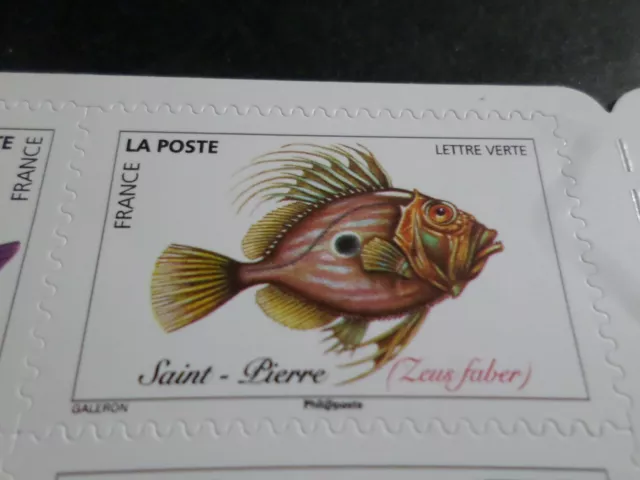 POISSONS DE MER, SEA FISH, 2019 timbre FRANCE, SAINT PIERRE, neuf**, MNH STAMP